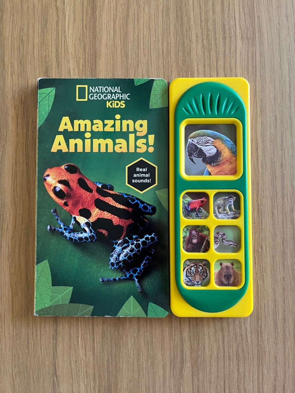 National Geographic Kids: Amazing Animals! Sound Book (Board Book)